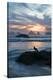 USA, Oregon, Bandon Beach. Seagull on Rock at Twilight-Jaynes Gallery-Premier Image Canvas