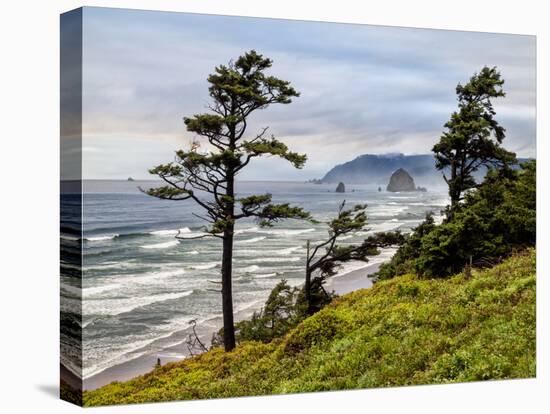 USA, Oregon, Cannon Beach, View of Haystack Rock-Ann Collins-Premier Image Canvas