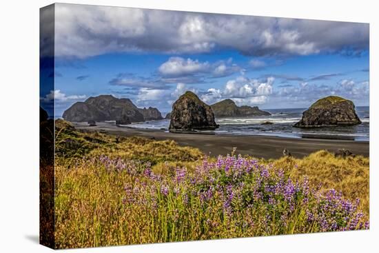 USA, Oregon, Cape Sebastian-Joe Restuccia III-Premier Image Canvas