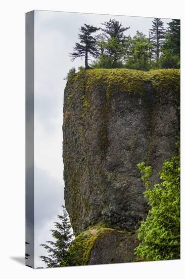 USA, Oregon. Columbia Gorge, conifers on bluff above Oneonta Gorge.-Alison Jones-Premier Image Canvas