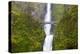 USA, Oregon, Columbia Gorge, Multnomah Falls Cascades from High Above-Terry Eggers-Premier Image Canvas