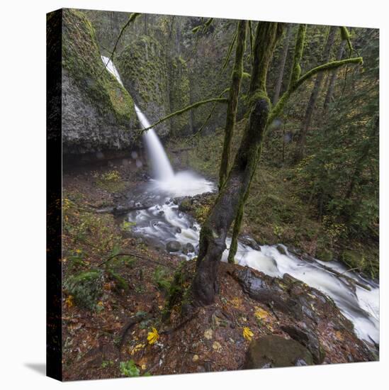 USA, Oregon, Columbia River Gorge area, ponytail falls.-Brent Bergherm-Premier Image Canvas