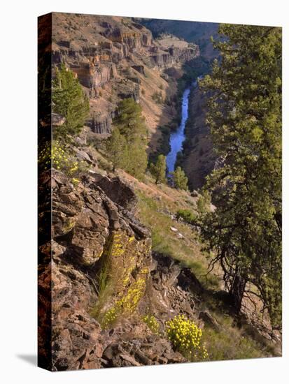 USA, Oregon, Deschutes Canyon. Canyon Landscape-Steve Terrill-Premier Image Canvas