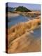 USA, Oregon, Dunes National Recreation Area. Landscape of Sand Dunes-Steve Terrill-Premier Image Canvas