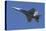 USA, Oregon, Hillsboro, FA-18F Super Hornet.-Rick A Brown-Premier Image Canvas