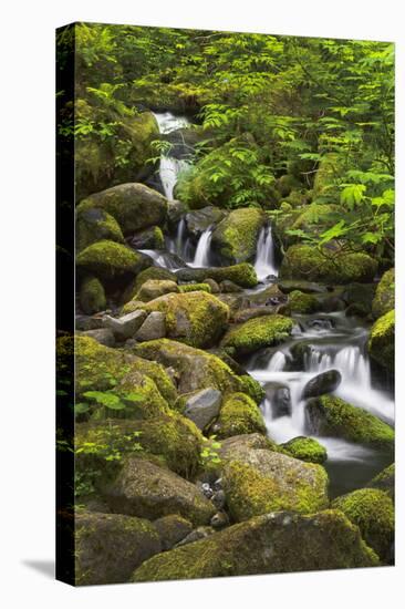 USA, Oregon, Hood River. A waterfall on Tish Creek.-Christopher Reed-Premier Image Canvas