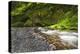 USA, Oregon, Hood River County. Eagle Creek just below Punchbowl Falls.-Christopher Reed-Premier Image Canvas