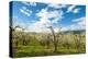 USA, Oregon Hood River, Valley. Apple Orchard Near Hood River-Richard Duval-Premier Image Canvas