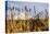 USA, Oregon. Lava Lake, cattails in foreground, Broken Top Mountain in background.-Alison Jones-Premier Image Canvas