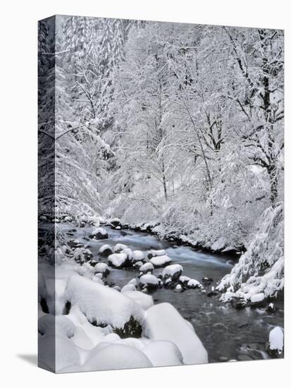 USA, Oregon, Mt. Hood National Forest. Snow on Boulder Creek-Steve Terrill-Premier Image Canvas