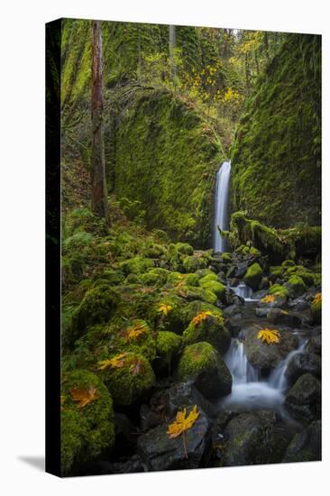 USA, Oregon. Mysterious Mossy Grotto Falls on an Autumn Day in the Columbia Gorge-Gary Luhm-Premier Image Canvas