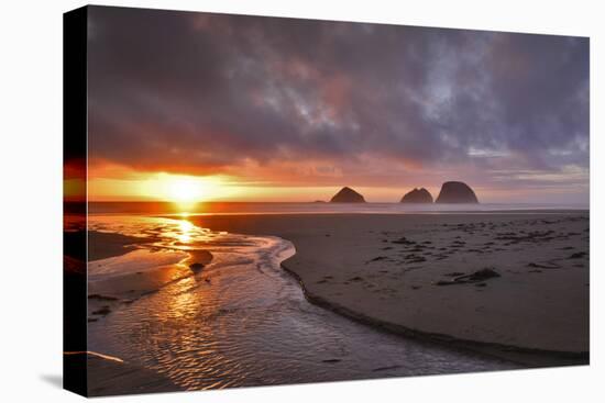 USA, Oregon, Oceanside. Sunset on Three Arch Rocks-Steve Terrill-Premier Image Canvas