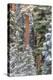 USA, Oregon, Ochoco Mountains. Snowy pine forest in winter.-Jaynes Gallery-Premier Image Canvas