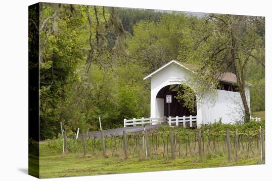 USA, Oregon, Philomath. Harris Bridge Vineyard by the Covered Bridge-Janis Miglavs-Premier Image Canvas