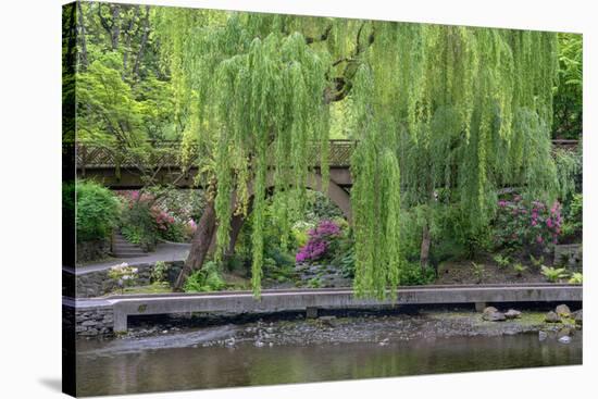 USA, Oregon, Portland, Weeping willow above small creek and blooming azalea.-John Barger-Premier Image Canvas