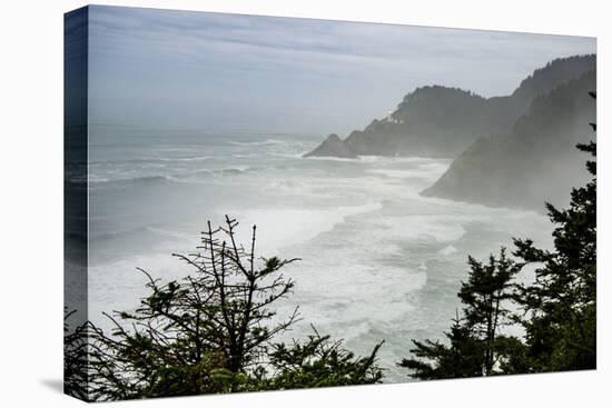 USA, Oregon. Seal Cove in fog on Pacific Coast Scenic Byway between Florence and Newport.-Alison Jones-Premier Image Canvas
