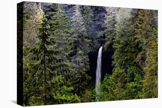 USA, Oregon, Silver Falls State Park, North Falls-Joe Restuccia III-Premier Image Canvas