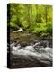 USA, Oregon, Siuslaw National Forest, Sweet Creek-Ann Collins-Premier Image Canvas