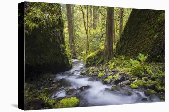 USA, Oregon. Spring view of Ruckle Creek in the Columbia River Gorge.-Gary Luhm-Premier Image Canvas
