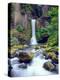 USA, Oregon, Toketee Waterfall and Basalt Formation-Jaynes Gallery-Premier Image Canvas