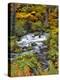 USA, Oregon, Willamette National Forest. Roaring River Running Through Oregon-Jaynes Gallery-Premier Image Canvas