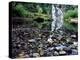 USA, Oregon, Young's River Falls. Waterfall Landscape-Steve Terrill-Premier Image Canvas