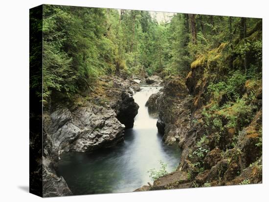 Usa, Pacific Northwest, a Stream Flows from the Forest-Christopher Talbot Frank-Premier Image Canvas