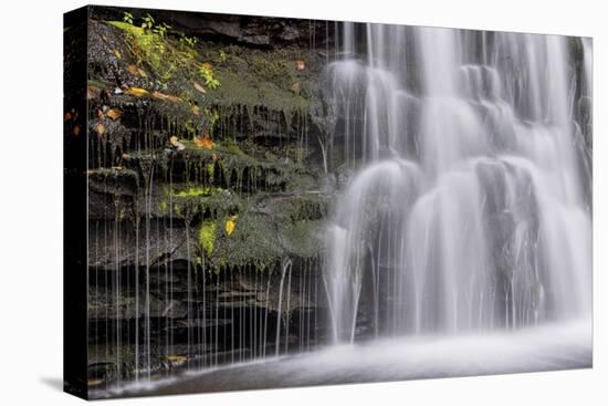 USA, Pennsylvania, Benton. Waterfall in Ricketts Glen State Park-Jay O'brien-Premier Image Canvas