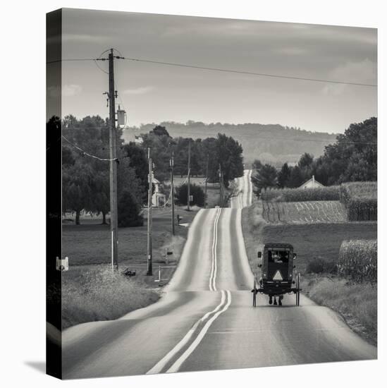 USA, Pennsylvania, Pennsylvania Dutch Country, Paradise, Amish Horse and Buggy on Paradise Lane-Walter Bibikow-Premier Image Canvas