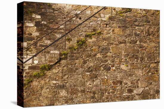 USA, Savannah, Georgia. Steps made from ballast stones along River Street.-Joanne Wells-Premier Image Canvas