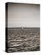 USA, Seattle, sailboat in Elli-Savanah Plank-Stretched Canvas