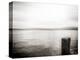 USA, Seattle, view from Alki b-Savanah Plank-Stretched Canvas