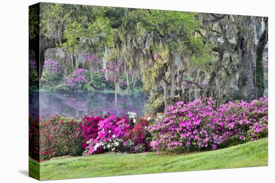 USA, South Carolina, Charleston, Calm Among the Flowers-Hollice Looney-Premier Image Canvas