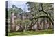 USA, South Carolina, Yemassee, Old Sheldon Church Ruins-Hollice Looney-Premier Image Canvas