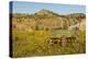 USA, South Dakota, Wild Horse Sanctuary. Scenic with Vintage Wagon-Cathy & Gordon Illg-Premier Image Canvas