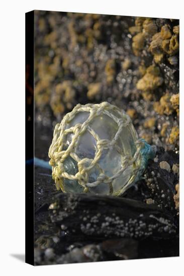 USA, Southeast Alaska Near Ketchikan, Japanese Glass Fishing Float-Savanah Stewart-Premier Image Canvas