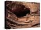 Usa, Southwest, an Indian Cliff Dwelling-Christopher Talbot Frank-Premier Image Canvas