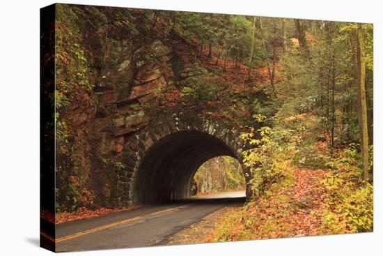 USA, Tennesse. Tunnel along the road to Cades Cove in the fall.-Joanne Wells-Premier Image Canvas