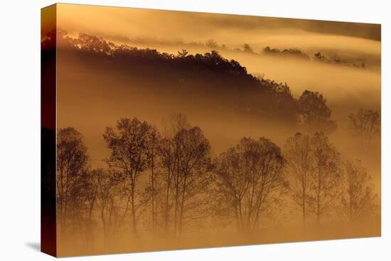 USA, Tennessee. Early morning fog in the Smoky Mountains.-Joanne Wells-Premier Image Canvas