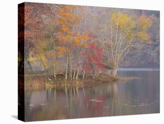 USA, Tennessee, Falls Creek Falls State Park. Autumn forest reflects in lake.-Jaynes Gallery-Premier Image Canvas