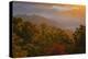 USA, Tennessee. Great Smoky Mountain National Park, trees and fog at sunrise.-Joanne Wells-Premier Image Canvas