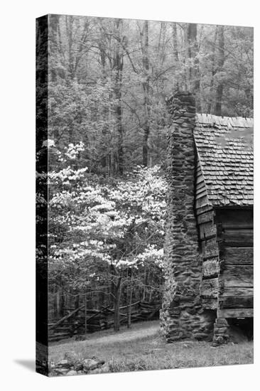 USA, Tennessee, Great Smoky Mountains National Park. Abandoned Cabin-Dennis Flaherty-Premier Image Canvas