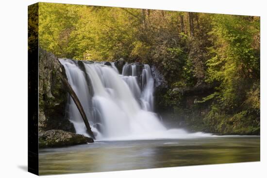 USA, Tennessee, Great Smoky Mountains National Park. Abrams Falls Landscape-Jaynes Gallery-Premier Image Canvas