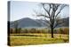 USA, Tennessee. Great Smoky Mountains National Park, Cades Cove Loop Road-Ann Collins-Premier Image Canvas