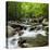 USA, Tennessee, Great Smoky Mountains National Park. Little Pigeon River at Greenbrier-Ann Collins-Premier Image Canvas