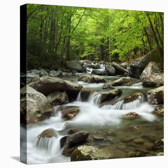 USA, Tennessee, Great Smoky Mountains National Park. Little Pigeon River at Greenbrier-Ann Collins-Premier Image Canvas