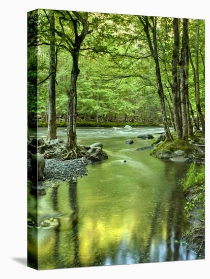USA, Tennessee, Great Smoky Mountains National Park, Spring Reflections on Little Pigeon River-Ann Collins-Premier Image Canvas