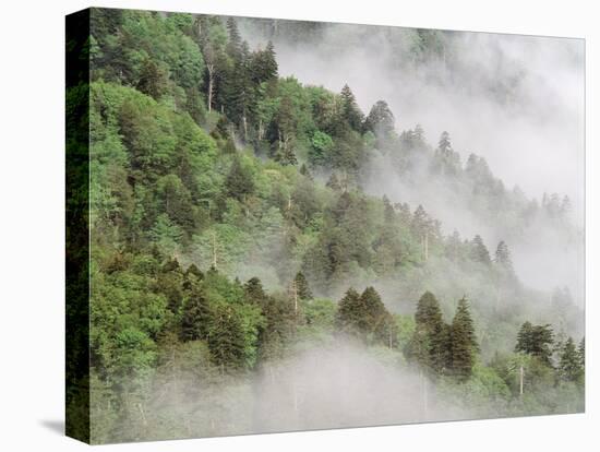 USA, Tennessee, North Carolina, Great Smoky Mountains National Park-Zandria Muench Beraldo-Premier Image Canvas