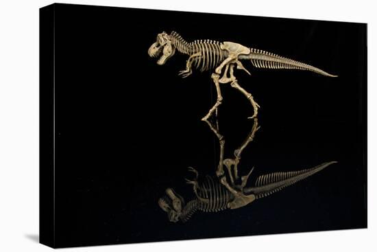 USA, Tennessee. T-Rex Skeleton Replica Reflection-Jaynes Gallery-Premier Image Canvas