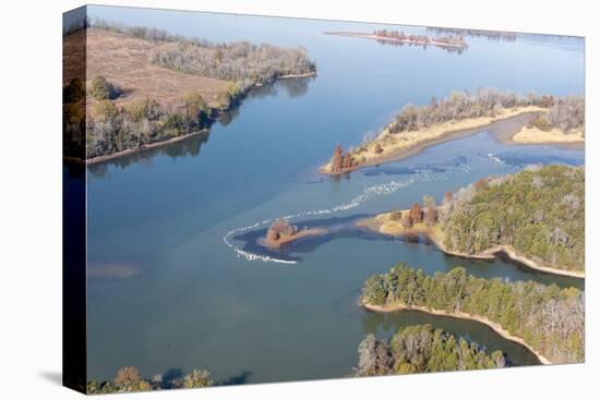 USA, Tennessee. White pelicans curve around islet Tennessee River, Hiwassee Wildlife Refuge-Trish Drury-Premier Image Canvas